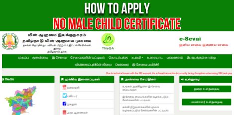 How to Apply for No Male Child Certificate Online Easily!!