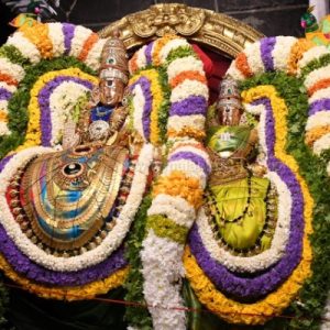 திருவண்ணாமலை அருள்மிகு அருணாசலேஸ்வரர் திருக்கோயில் சித்திரை வசந்த உற்சவம் – Day 8