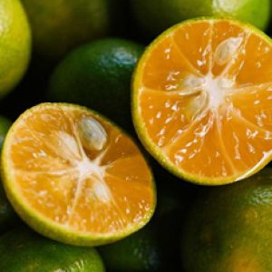How consuming Calamansi will improve our health?