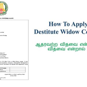 How to Apply for Destitute Widow Certificate Online Easily!!