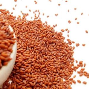 Why Garden Cress Seeds Are Considered a Nutritional Powerhouse