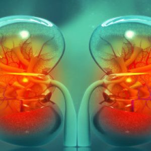 Chronic Kidney Disease: Symptoms, Risk Factors & Prevention Tips