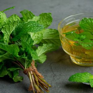 Unknown health benefits we could get by consuming spearmint!!