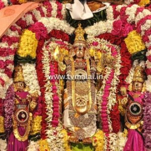 திருவண்ணாமலை அருள்மிகு அண்ணாமலையார் திருக்கோவிலில் முருகர் தெப்பல் உற்சவம்!