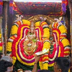 திருவண்ணாமலை அருள்மிகு அருணாசலேஸ்வரர் திருக்கோயில் சித்திரை வசந்த உற்சவம் ஏழாம் நாள்!
